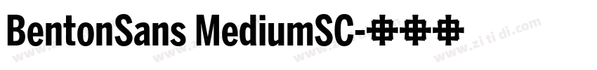 BentonSans MediumSC字体转换